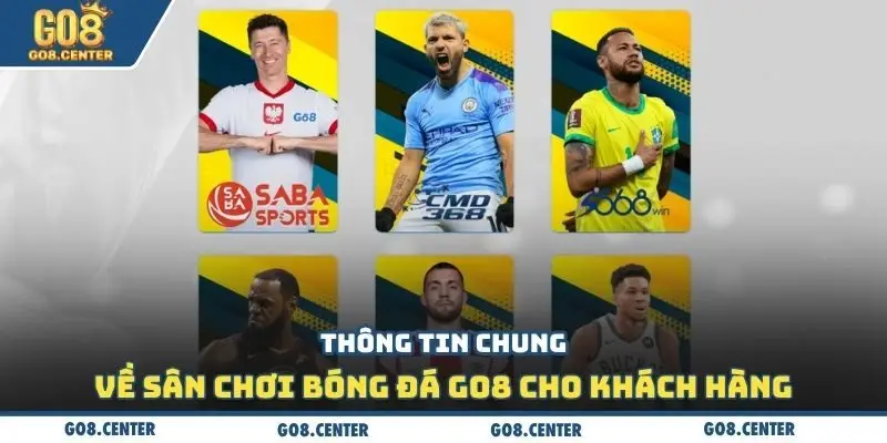 Thông tin chung về sân chơi bóng đá Go8 cho khách hàng
